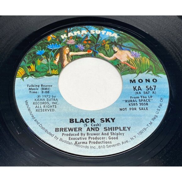 Brewer and Shipley Black Sky 45 Vinyl 70s Rock Promo Kama Sutra 567 - Picture 2 of 6